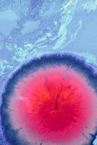 “The Birth” of the Human Microbiome @ Bellies Abroad HQ | Roma | Lazio | Italy