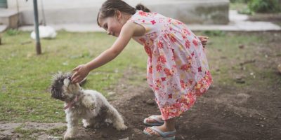 jordan-rowland-716484-unsplash