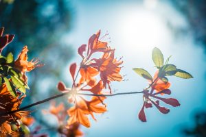 Life Goals Spring Cleaning Workshop @ Roma | Lazio | Italy
