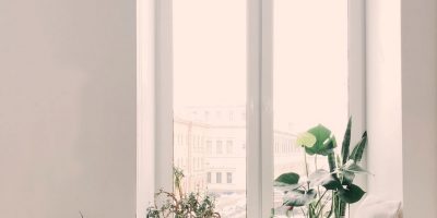 photo-of-green-leaf-potted-plants-on-window-and-stand-930004