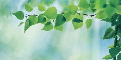 dmytro-tolokonov-Jq3WI9IQgEs-unsplash