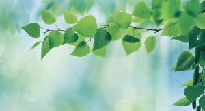 The Mindful Parent: Nurturing Resilience in Troubled Times @ ONLINE